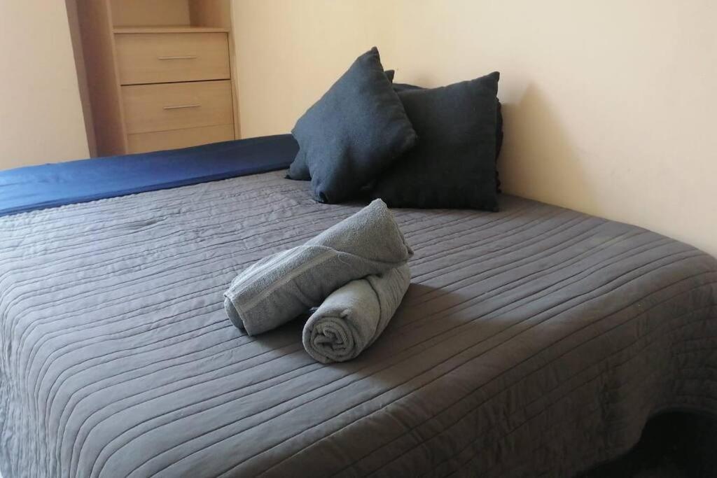 墨西哥城Downtown Depto Con Terraza Privada公寓 外观 照片
